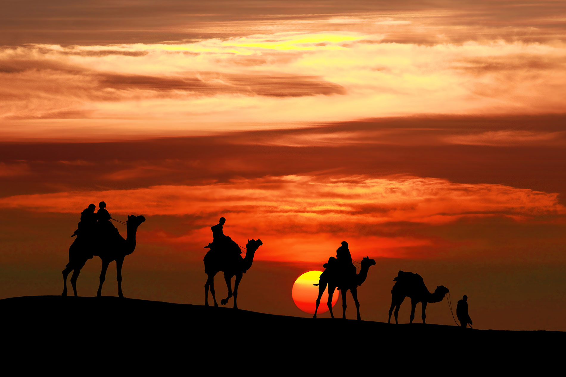 India Thar Desert Caravan walking with camel Rust PP